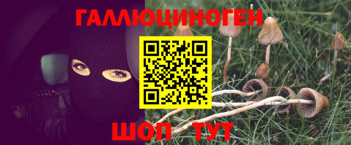 Псилоцибиновые грибы Cubensis  Вход с VPN  наркошоп  Новоуральск  Галлюциногенные грибы прущие грибы 